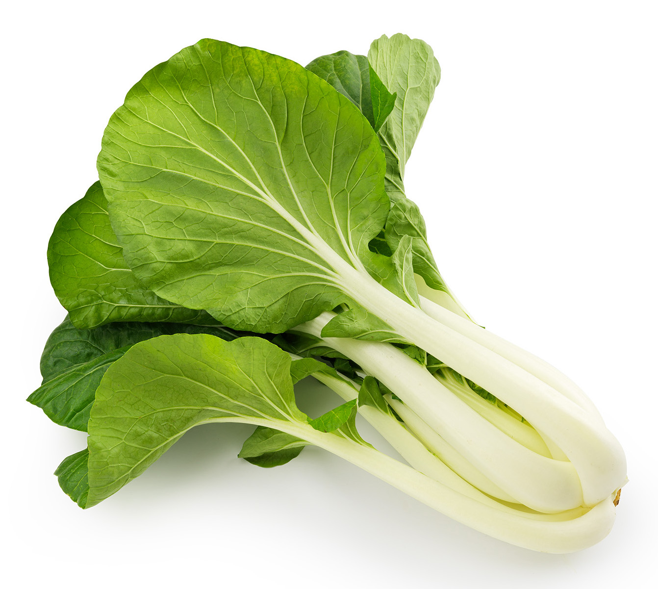 Pak Choi