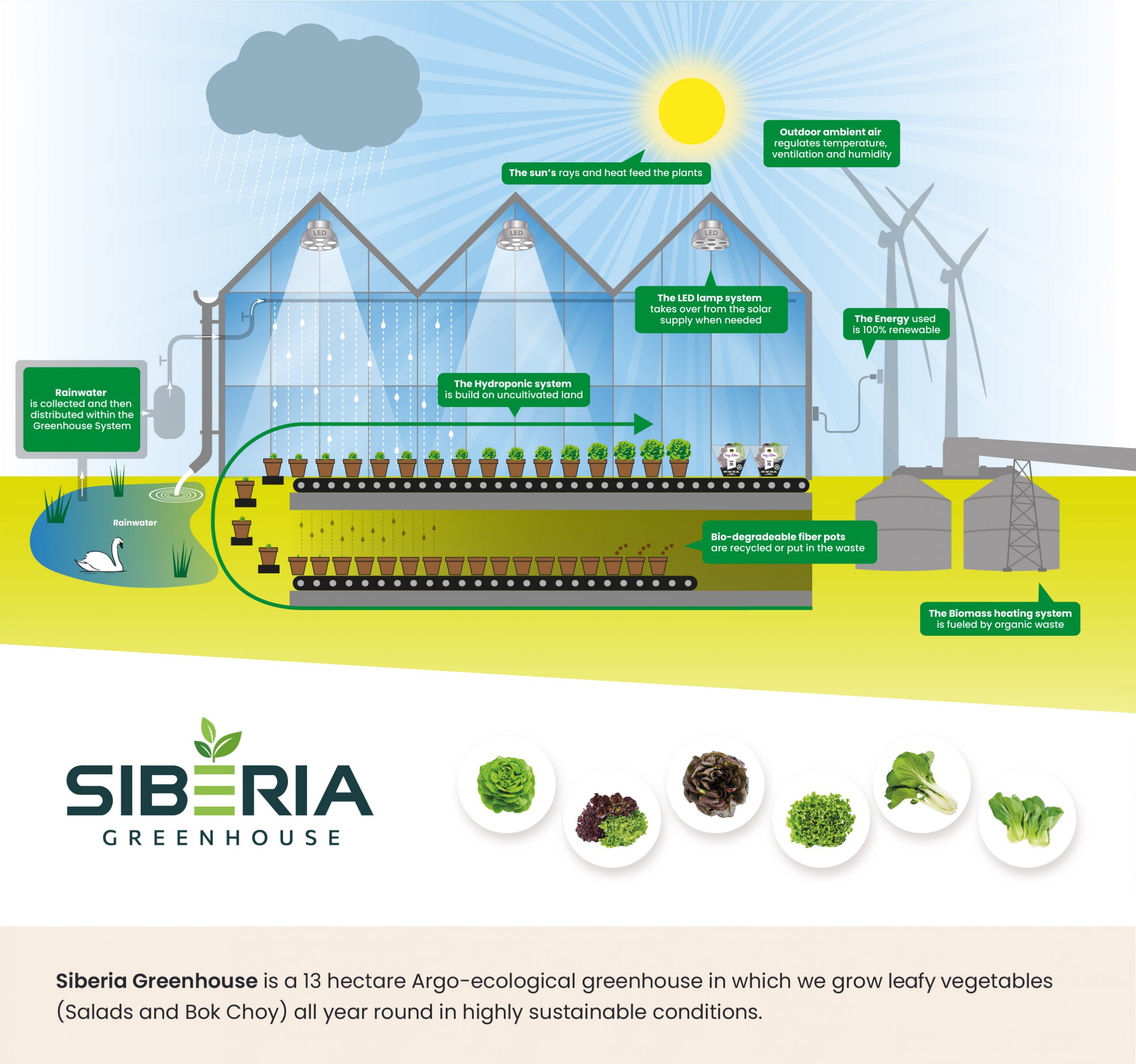 Infographic Siberia